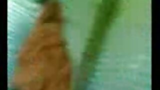 موی برادر ناتنی مالید کوس داکتر